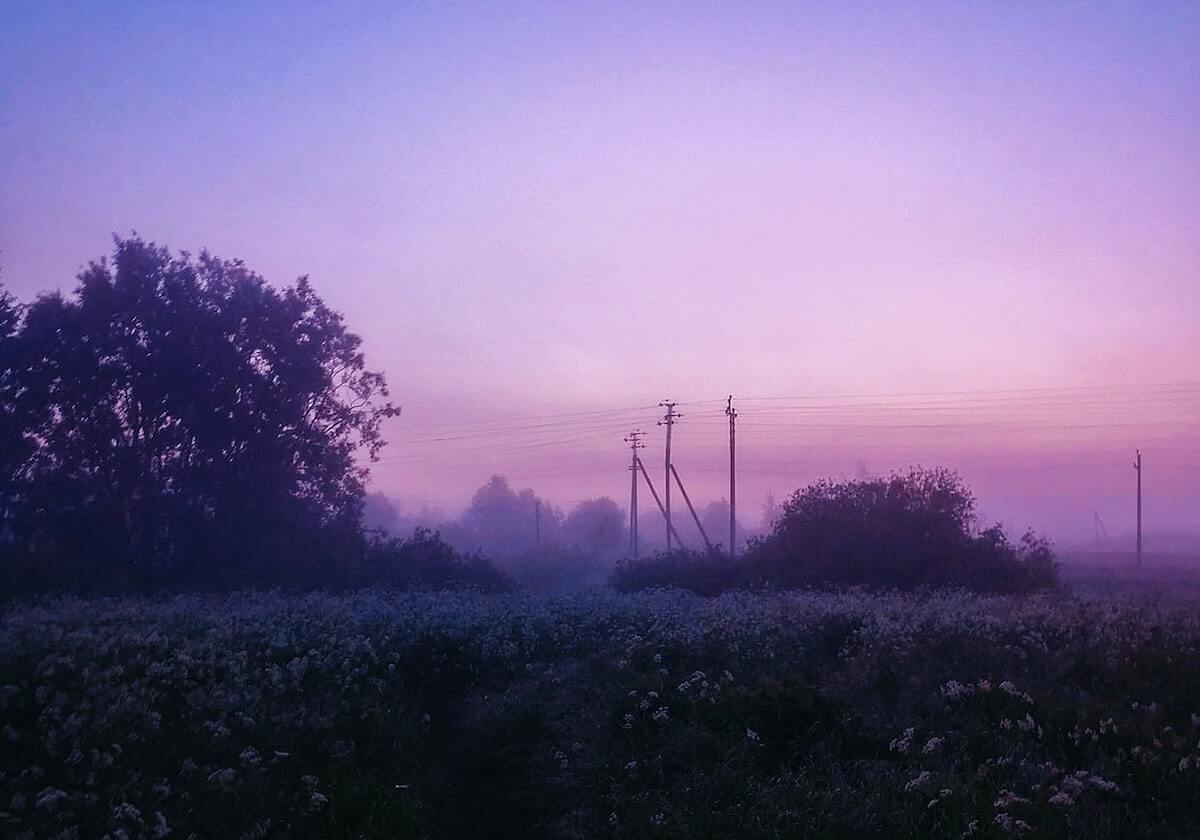 大发体育：把热爱体育的热情带进每一个瞬间